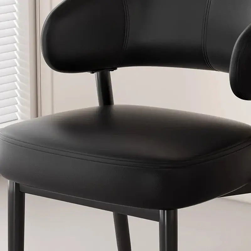 Nordic Comfort Dining Chair Set